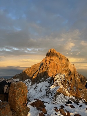 山